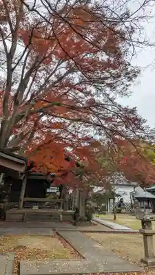 観音寺（山崎聖天）(京都府)