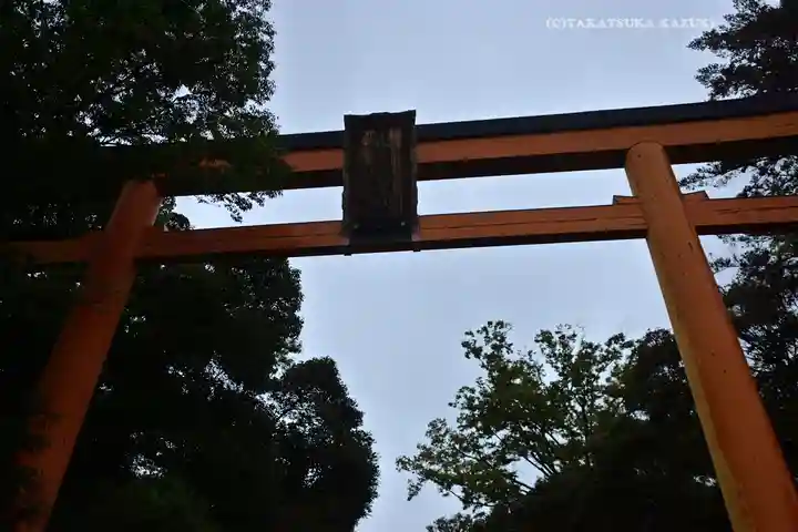 川越氷川神社(埼玉県)