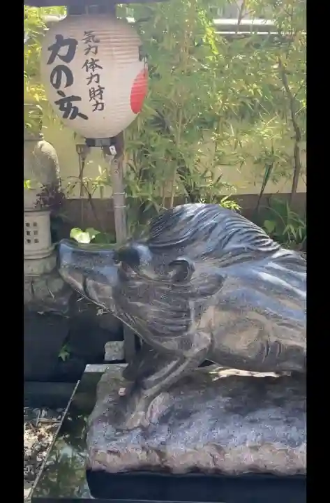 摩利支天 徳大寺の{uncategorized: "未分類", other: "その他", undefined: "問題あり", building: "その他建物", grave: "お墓", sacred_gate: "鳥居", guardian: "狛犬", statue: "像", buddha: "仏像", history: "歴史", nature: "自然", garden: "庭園", animal: "動物", pagoda: "塔", temizu: "手水舎", mountain_gate: "山門・神門", sanctuary: "本殿・本堂", subordinate: "末社・摂社", art: "芸術", scenery: "景色", jizo: "地蔵", ema: "絵馬", goshuin: "御朱印", omikuji: "おみくじ", items: "授与品その他", amulet: "お守り", goshuincho: "御朱印帳", eats: "食事", festival: "お祭り", votive_dance: "神楽", shichigosan: "七五三参", wedding: "結婚式", experience: "体験その他", initially: "初詣", around: "周辺", anti_infection: "感染症対策"}