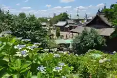 性海寺(愛知県)