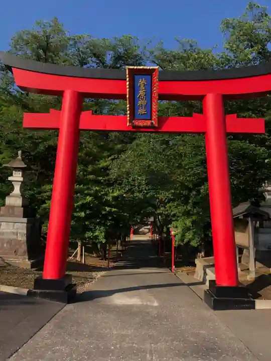 菅原神社の{uncategorized: "未分類", other: "その他", undefined: "問題あり", building: "その他建物", grave: "お墓", sacred_gate: "鳥居", guardian: "狛犬", statue: "像", buddha: "仏像", history: "歴史", nature: "自然", garden: "庭園", animal: "動物", pagoda: "塔", temizu: "手水舎", mountain_gate: "山門・神門", sanctuary: "本殿・本堂", subordinate: "末社・摂社", art: "芸術", scenery: "景色", jizo: "地蔵", ema: "絵馬", goshuin: "御朱印", omikuji: "おみくじ", items: "授与品その他", amulet: "お守り", goshuincho: "御朱印帳", eats: "食事", festival: "お祭り", votive_dance: "神楽", shichigosan: "七五三参", wedding: "結婚式", experience: "体験その他", initially: "初詣", around: "周辺", anti_infection: "感染症対策"}