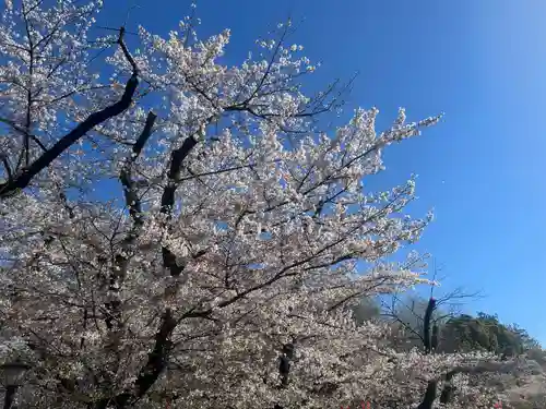 上野東照宮(東京都)