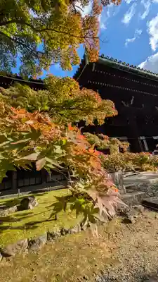 真正極楽寺(真如堂)(京都府)