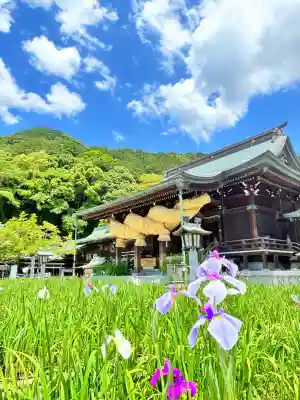 宮地嶽神社の{uncategorized: "未分類", other: "その他", undefined: "問題あり", building: "その他建物", grave: "お墓", sacred_gate: "鳥居", guardian: "狛犬", statue: "像", buddha: "仏像", history: "歴史", nature: "自然", garden: "庭園", animal: "動物", pagoda: "塔", temizu: "手水舎", mountain_gate: "山門・神門", sanctuary: "本殿・本堂", subordinate: "末社・摂社", art: "芸術", scenery: "景色", jizo: "地蔵", ema: "絵馬", goshuin: "御朱印", omikuji: "おみくじ", items: "授与品その他", amulet: "お守り", goshuincho: "御朱印帳", eats: "食事", festival: "お祭り", votive_dance: "神楽", shichigosan: "七五三参", wedding: "結婚式", experience: "体験その他", initially: "初詣", around: "周辺", anti_infection: "感染症対策"}