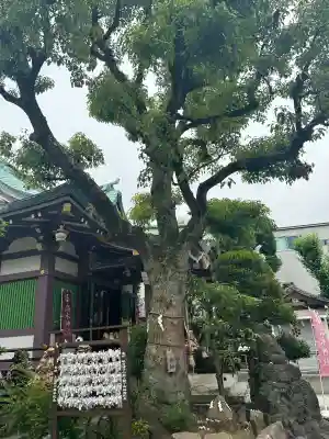 高木神社(東京都)