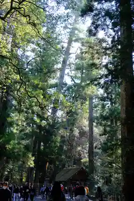 伊勢神宮内宮（皇大神宮）(三重県)