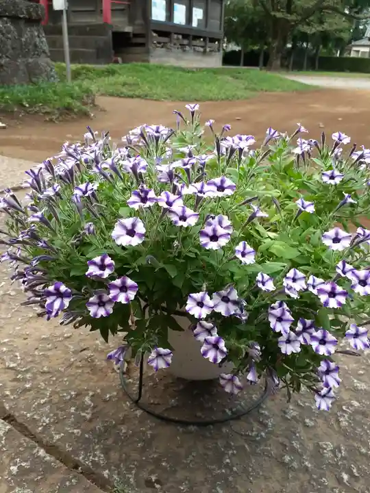 伏木香取神社の自然