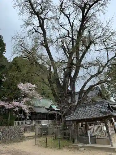 六條八幡宮の庭園