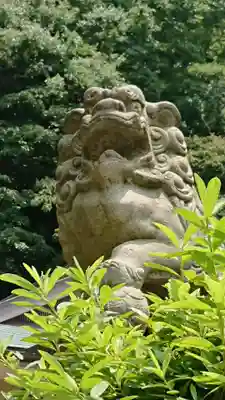 根岸八幡神社の狛犬