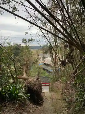八坂神社の景色