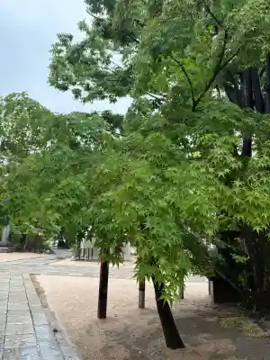 四柱神社(長野県)