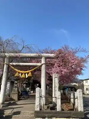 鏡神社の{uncategorized: "未分類", other: "その他", undefined: "問題あり", building: "その他建物", grave: "お墓", sacred_gate: "鳥居", guardian: "狛犬", statue: "像", buddha: "仏像", history: "歴史", nature: "自然", garden: "庭園", animal: "動物", pagoda: "塔", temizu: "手水舎", mountain_gate: "山門・神門", sanctuary: "本殿・本堂", subordinate: "末社・摂社", art: "芸術", scenery: "景色", jizo: "地蔵", ema: "絵馬", goshuin: "御朱印", omikuji: "おみくじ", items: "授与品その他", amulet: "お守り", goshuincho: "御朱印帳", eats: "食事", festival: "お祭り", votive_dance: "神楽", shichigosan: "七五三参", wedding: "結婚式", experience: "体験その他", initially: "初詣", around: "周辺", anti_infection: "感染症対策"}