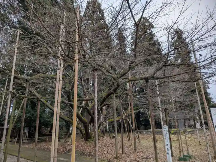 伊佐須美神社(福島県)