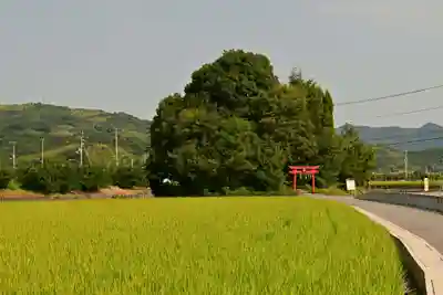 厳島神社（弁天山）(徳島県)
