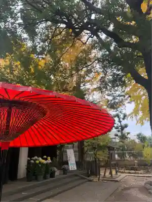 駒込天祖神社(東京都)