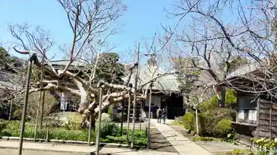 極楽寺（霊鷲山感應院極楽律寺）の庭園
