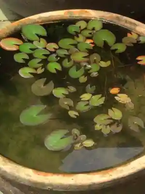 海蔵寺のその他建物