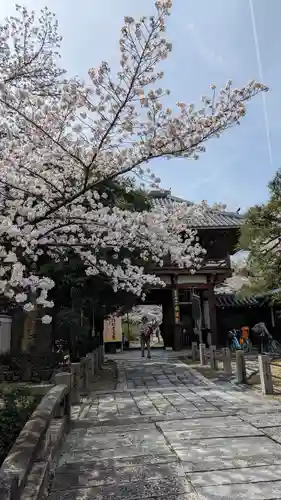 本法寺(京都府)