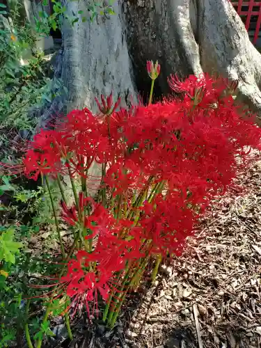 八枝神社の{uncategorized: "未分類", other: "その他", undefined: "問題あり", building: "その他建物", grave: "お墓", sacred_gate: "鳥居", guardian: "狛犬", statue: "像", buddha: "仏像", history: "歴史", nature: "自然", garden: "庭園", animal: "動物", pagoda: "塔", temizu: "手水舎", mountain_gate: "山門・神門", sanctuary: "本殿・本堂", subordinate: "末社・摂社", art: "芸術", scenery: "景色", jizo: "地蔵", ema: "絵馬", goshuin: "御朱印", omikuji: "おみくじ", items: "授与品その他", amulet: "お守り", goshuincho: "御朱印帳", eats: "食事", festival: "お祭り", votive_dance: "神楽", shichigosan: "七五三参", wedding: "結婚式", experience: "体験その他", initially: "初詣", around: "周辺", anti_infection: "感染症対策"}