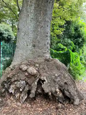 大國魂神社(東京都)