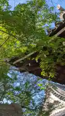 八雲神社(三重県)