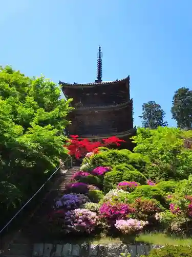 常樂寺(滋賀県)