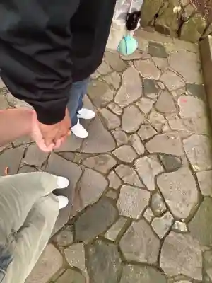 宇佐神宮(大分県)