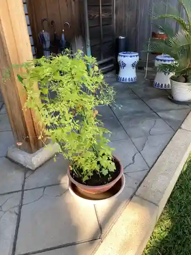 金藏院(神奈川県)