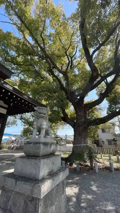 金岡神社(大阪府)