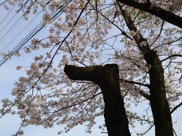 岐阜護國神社(岐阜県)