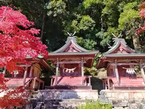 三社権現(奈良県)