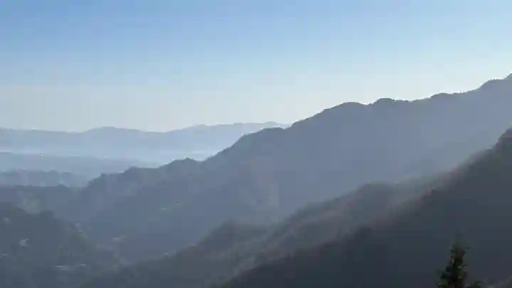 三峯神社の{uncategorized: "未分類", other: "その他", undefined: "問題あり", building: "その他建物", grave: "お墓", sacred_gate: "鳥居", guardian: "狛犬", statue: "像", buddha: "仏像", history: "歴史", nature: "自然", garden: "庭園", animal: "動物", pagoda: "塔", temizu: "手水舎", mountain_gate: "山門・神門", sanctuary: "本殿・本堂", subordinate: "末社・摂社", art: "芸術", scenery: "景色", jizo: "地蔵", ema: "絵馬", goshuin: "御朱印", omikuji: "おみくじ", items: "授与品その他", amulet: "お守り", goshuincho: "御朱印帳", eats: "食事", festival: "お祭り", votive_dance: "神楽", shichigosan: "七五三参", wedding: "結婚式", experience: "体験その他", initially: "初詣", around: "周辺", anti_infection: "感染症対策"}