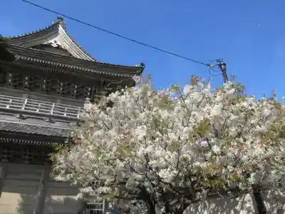 光明寺のその他建物