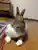 もっちゃろさんのプロフィール画像