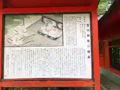 箱根神社の歴史