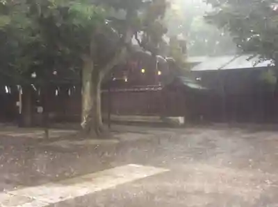 宇都宮二荒山神社の本殿・本堂