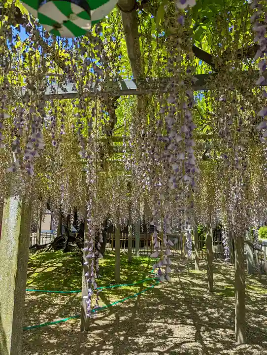 惣社神社(滋賀県)