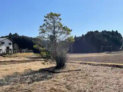 國津神社の自然