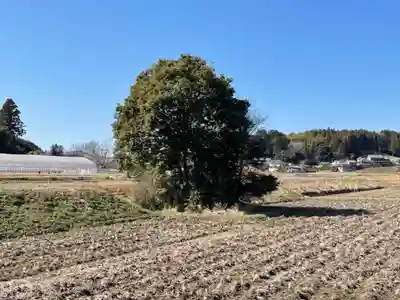 雄神神社(奈良県)