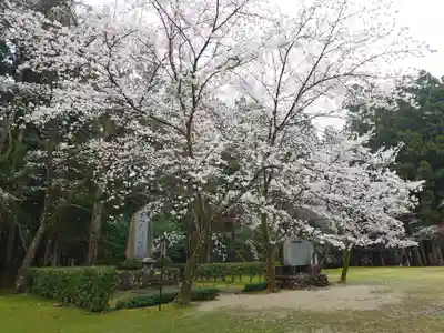 大斎原（熊野本宮大社旧社地）(和歌山県)
