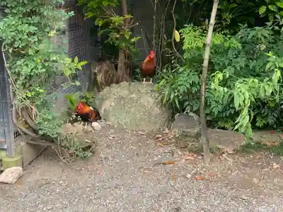高知大神宮(高知県)