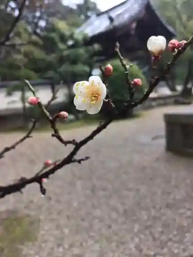 秋篠寺の自然