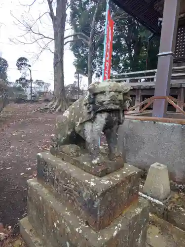 崇真寺(開運犬り切不動尊)の狛犬