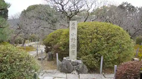 隨心院（随心院）の庭園