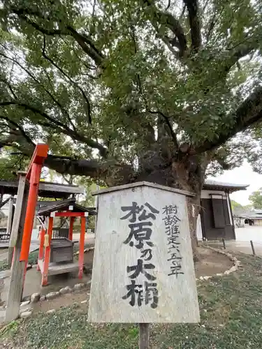 佐嘉神社・松原神社の自然