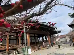 大通寺（長浜御坊）(滋賀県)