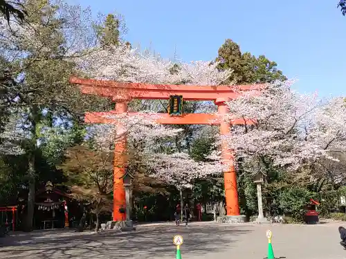 冠稲荷神社の鳥居