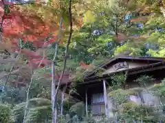 崇禅寺の建物その他