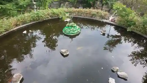 六孫王神社の庭園