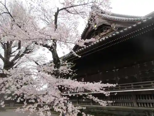寛永寺(根本中堂)のその他建物